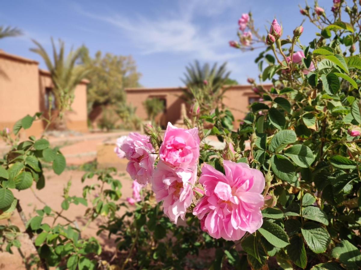 Maison D'Hotes Tigminou - Adults Only Ait Benhaddou Exterior foto